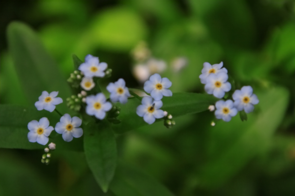 2010 08 17 IMG 05428